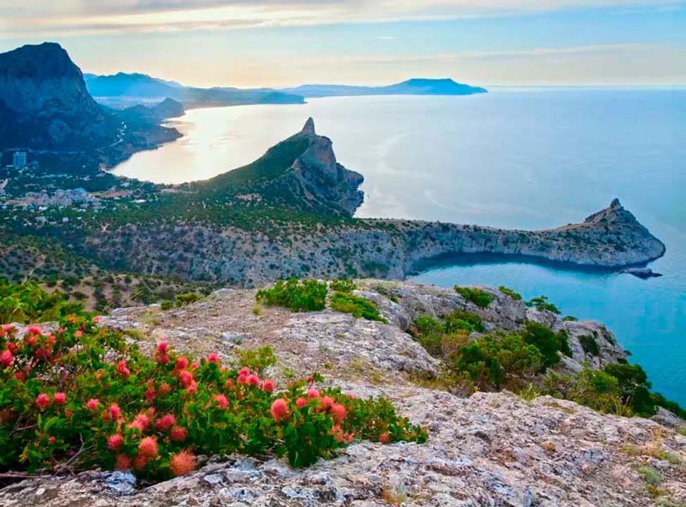 Что должно быть в гостиничной комнате с видом на водный поток